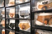 geneeskundemuseum brussel 8-2025 3185